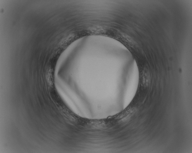 X0000062671346200601111233