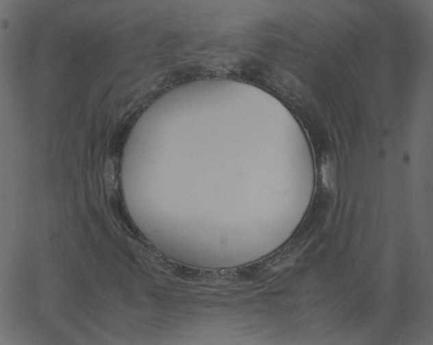 X0000062671347200601111233