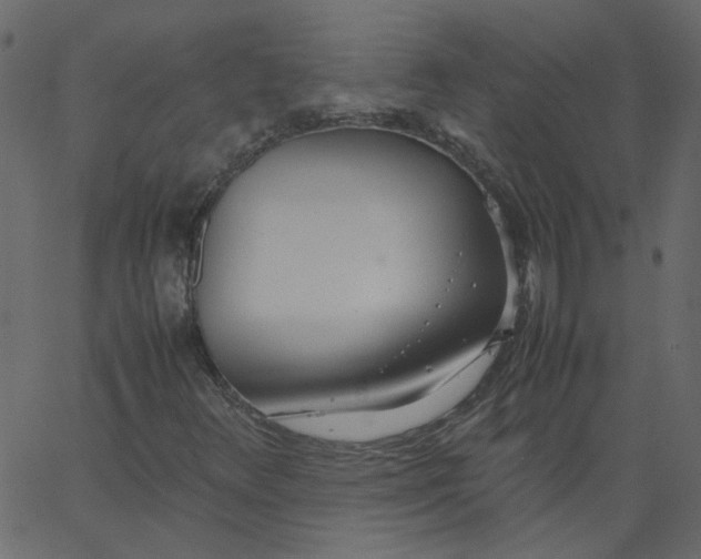 X0000062671348200601111233