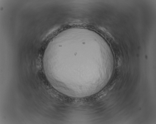 X0000062671350200601111233