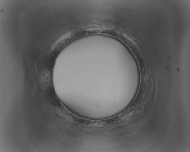 X0000062671351200601111233