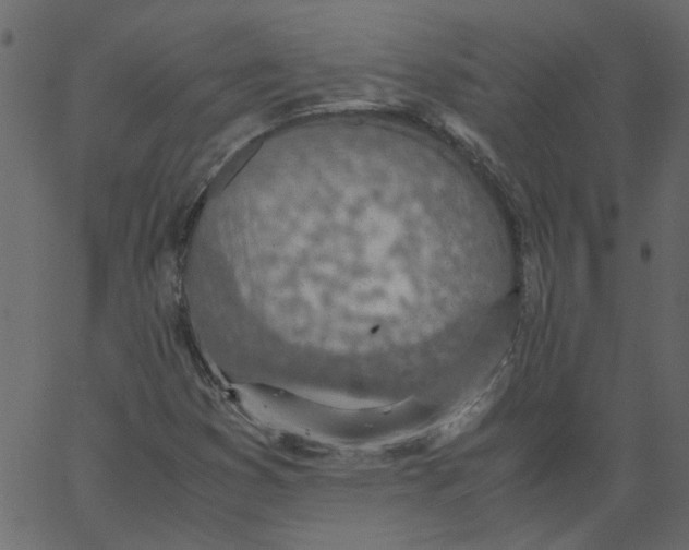 X0000062671353200601111233