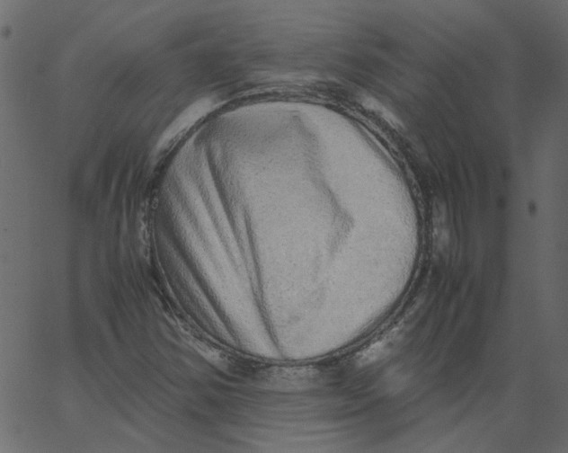 X0000062671354200601111233