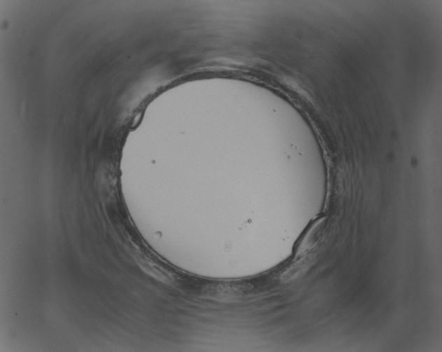 X0000062671355200601111233