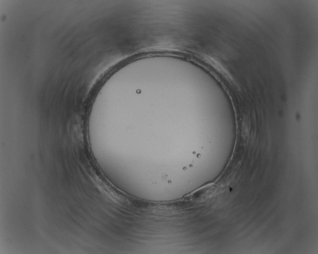 X0000062671356200601111233