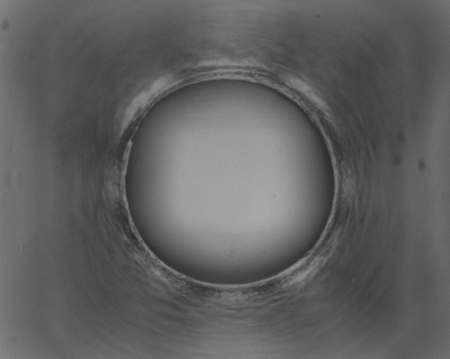 X0000062671357200601111233