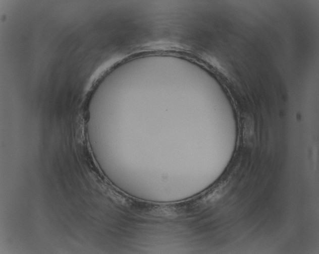 X0000062671358200601111233