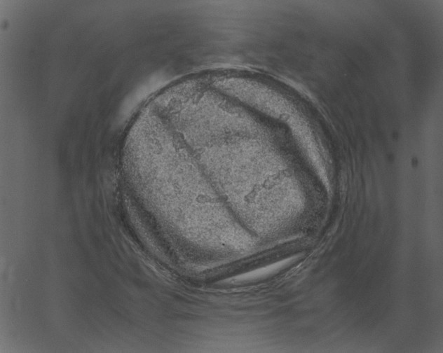 X0000062671359200601111233