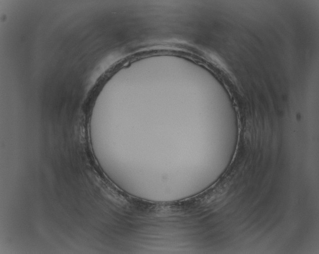 X0000062671360200601111233