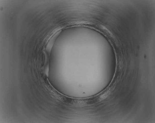 X0000062671361200601111233