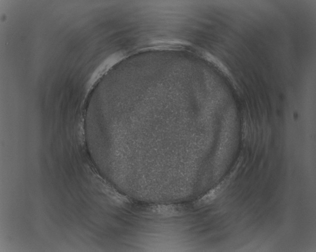 X0000062671362200601111233