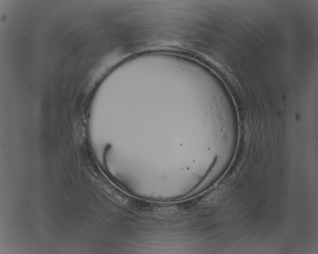 X0000062671363200601111233