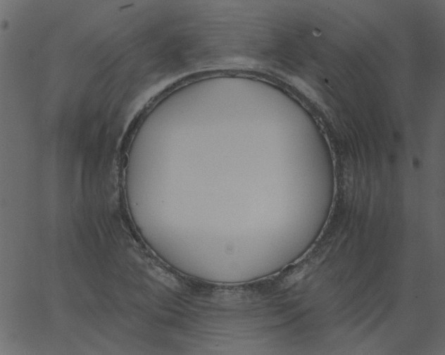 X0000062671364200601111233