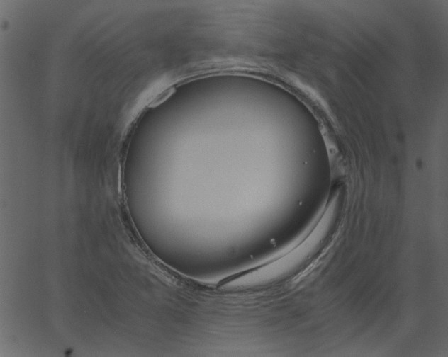 X0000062671365200601111233