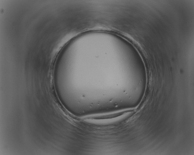 X0000062671367200601111233