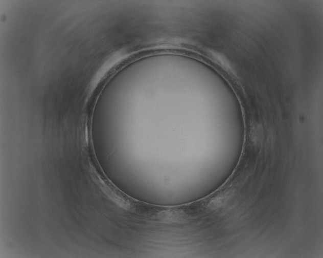 X0000062671368200601111233