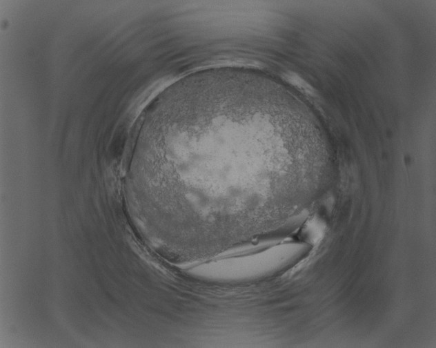 X0000062671369200601111233