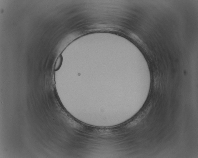 X0000062671370200601111233