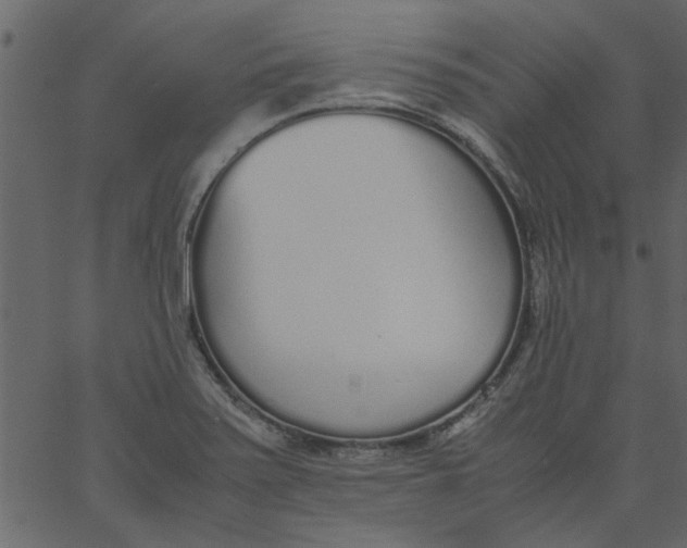 X0000062671371200601111233