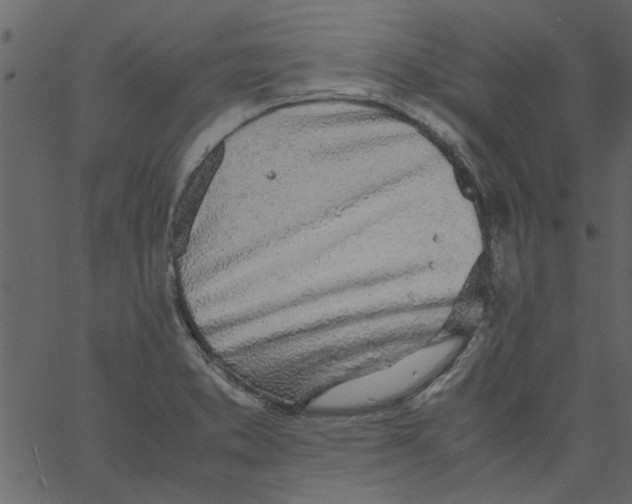 X0000062671373200601111233