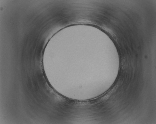 X0000062671374200601111233