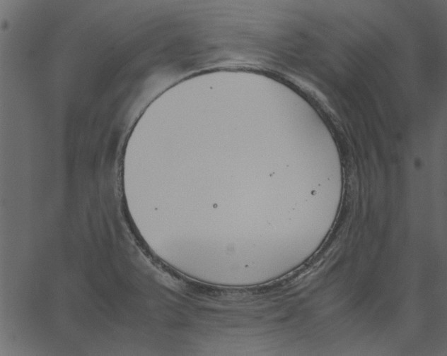 X0000062671375200601111233