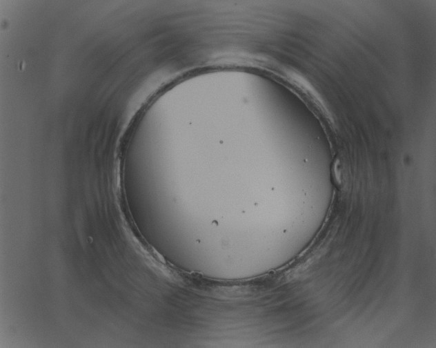 X0000062671376200601111233