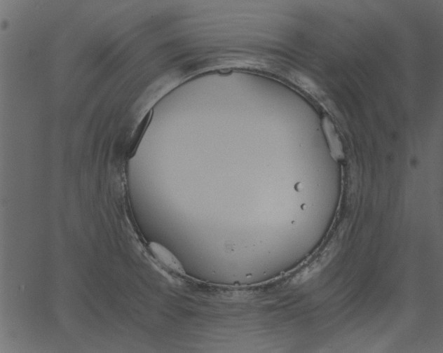 X0000062671377200601111233