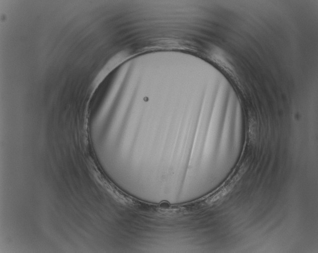 X0000062671378200601111233