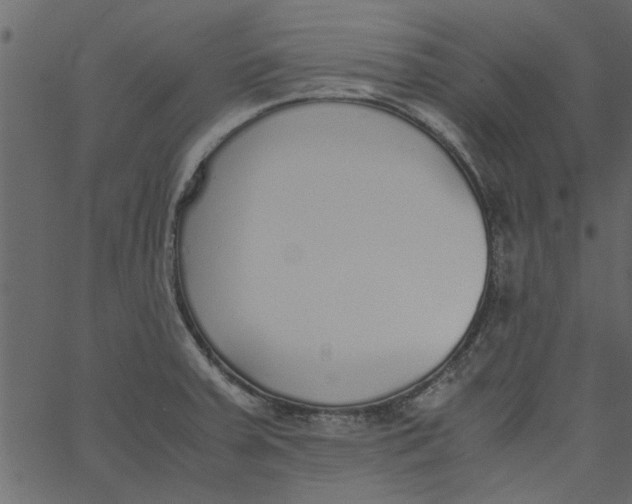 X0000062671379200601111233