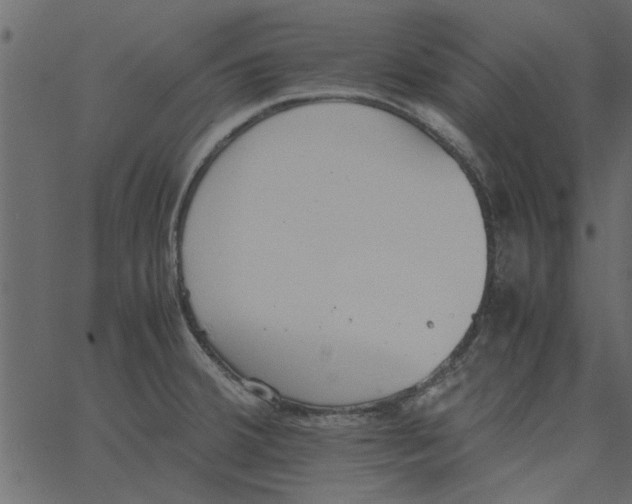 X0000062671380200601111233