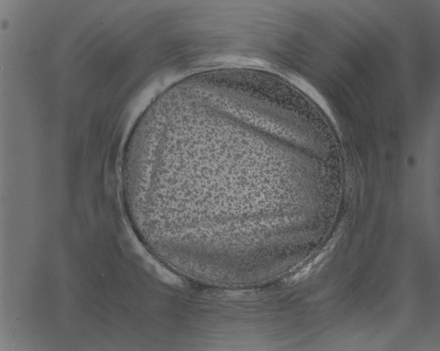 X0000062671381200601111233