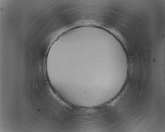 X0000062671382200601111233