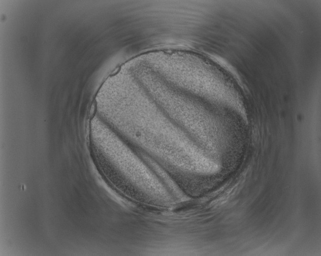 X0000062671383200601111233