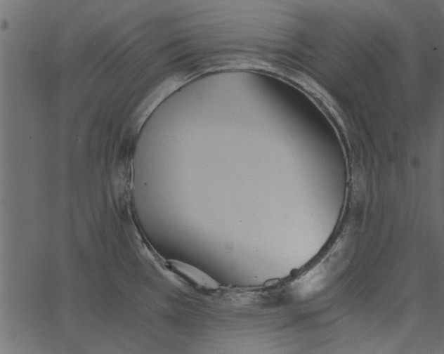 X0000062671385200601111233