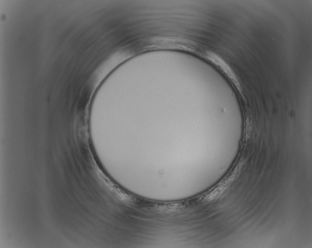 X0000062671386200601111233