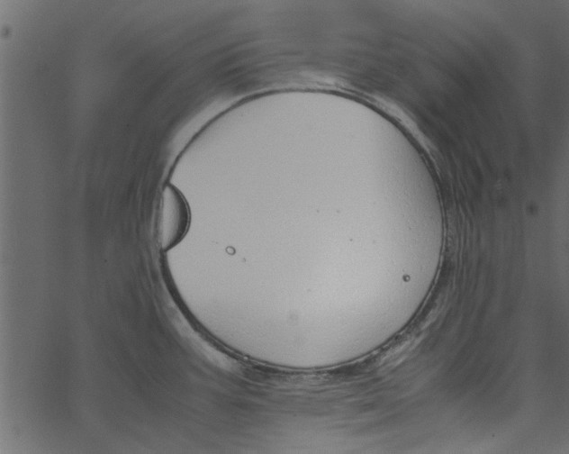 X0000062671387200601111233