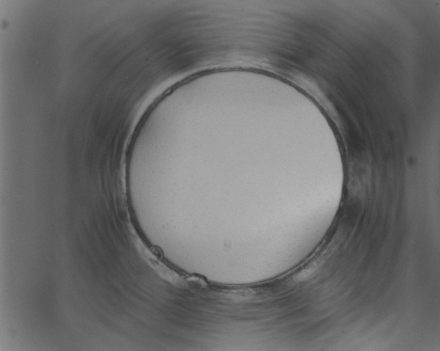 X0000062671388200601111233