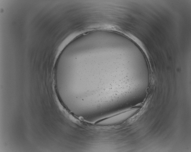 X0000062671389200601111233