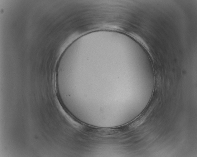 X0000062671391200601111233