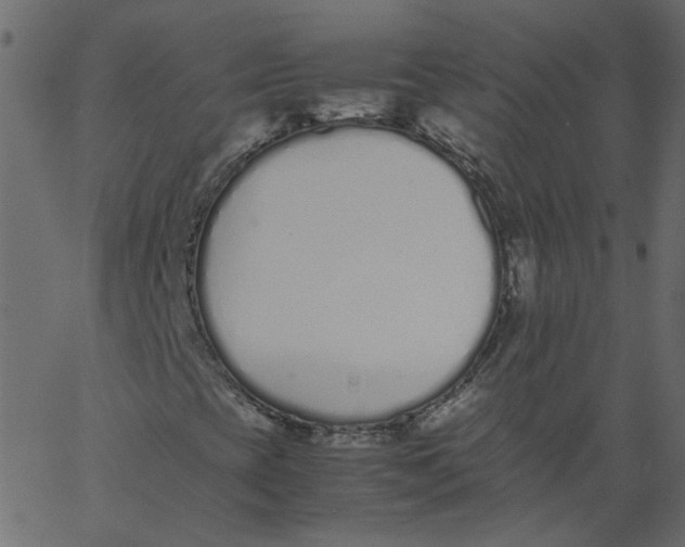 X0000062671393200601111232