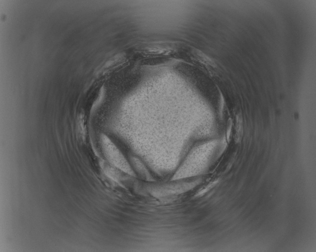 X0000062671394200601111232