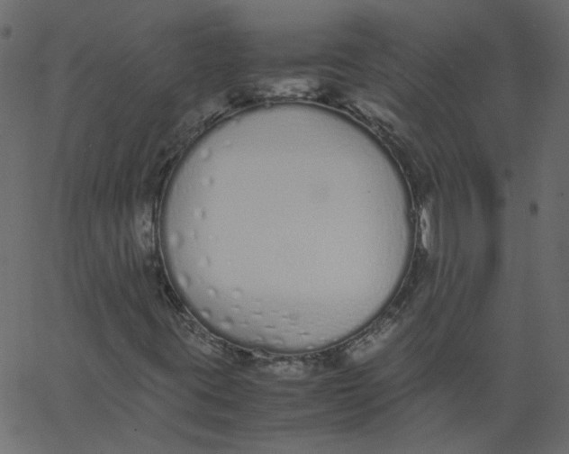 X0000062671395200601111232