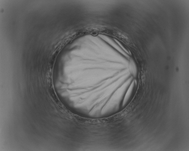 X0000062671397200601111232