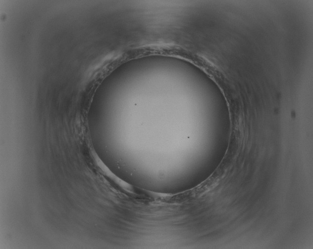 X0000062671398200601111232