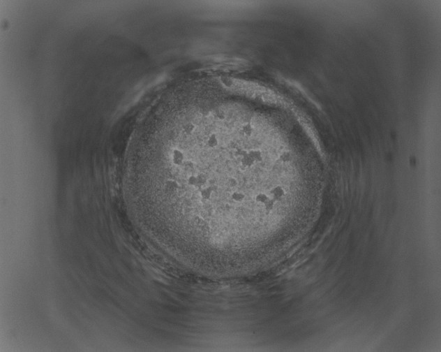 X0000062671399200601111232