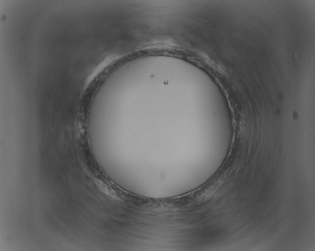 X0000062671400200601111232