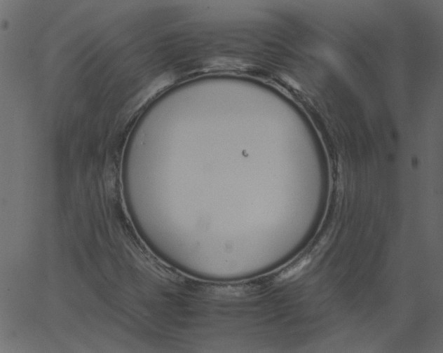 X0000062671401200601111232