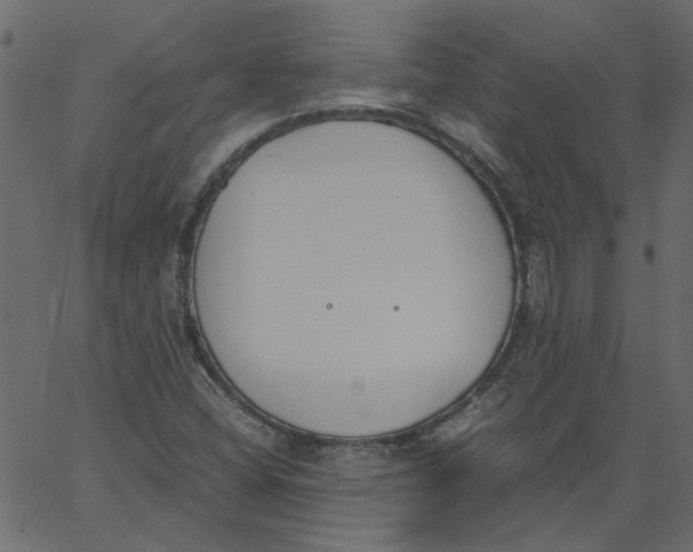 X0000062671404200601111232