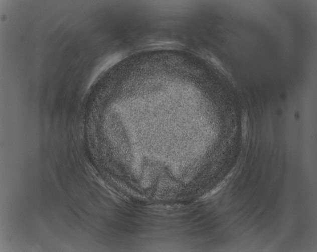 X0000062671405200601111232